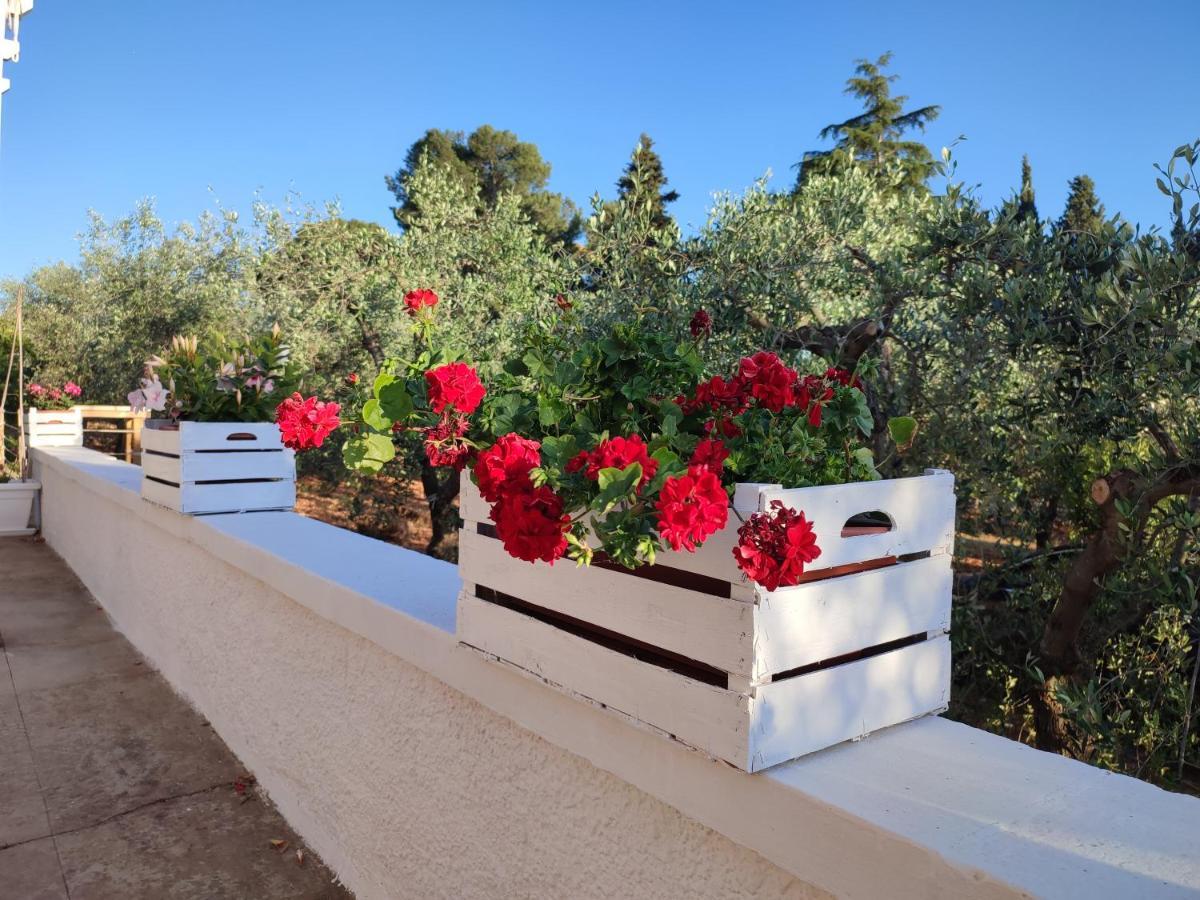 Porta Sugli Ulivi Villa Monopoli Buitenkant foto